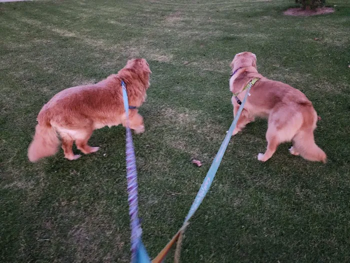 Mission Oaks Veterinary Clinic Picture 4