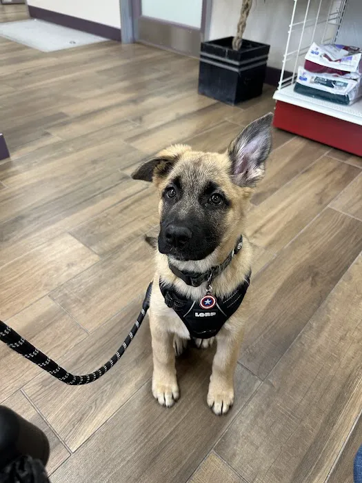 Mission Oaks Veterinary Clinic Picture 2