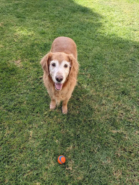 Mission Oaks Veterinary Clinic Picture 5