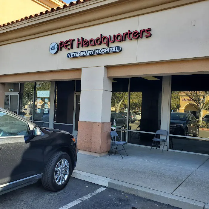 Pet Headquarters Picture 7