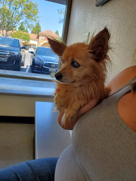 Pet Headquarters Picture 8