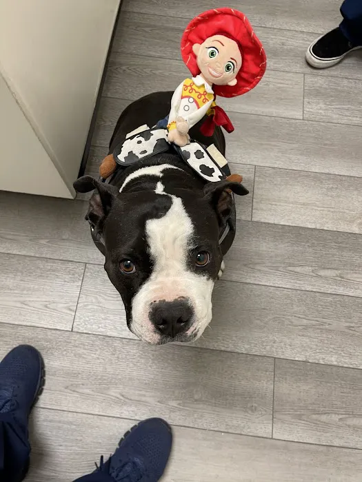 Pet Headquarters Picture 10