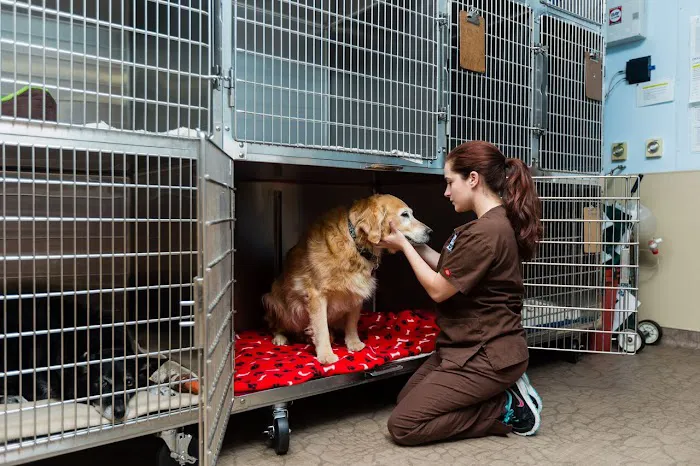 Moorpark Veterinary Hospital Picture 4