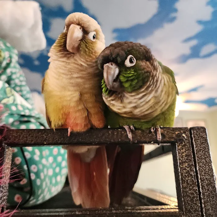 Moorpark Veterinary Hospital Picture 2