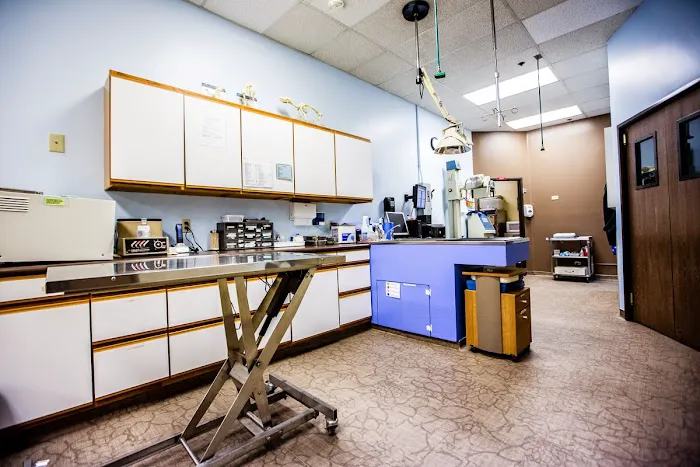 Moorpark Veterinary Hospital Picture 5