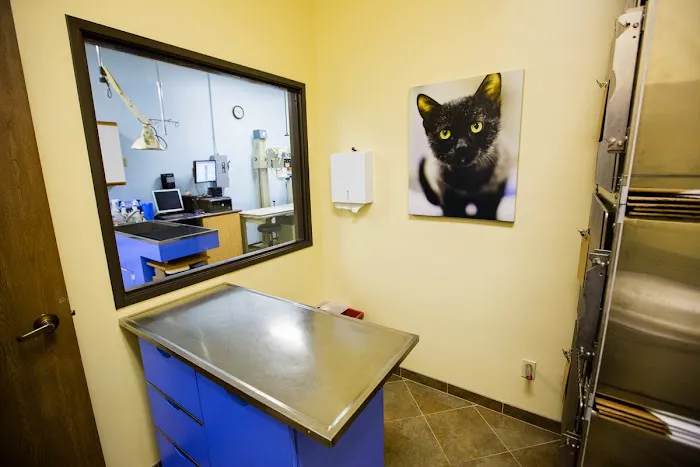 Moorpark Veterinary Hospital Picture 1