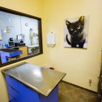 Moorpark Veterinary Hospital ico