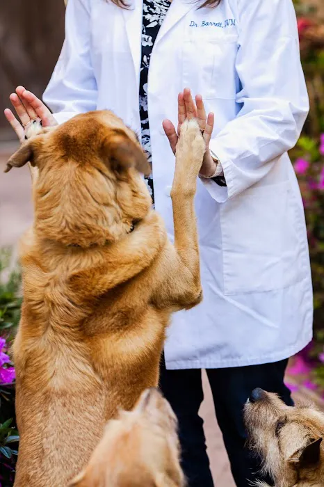 Moorpark Veterinary Hospital Picture 9