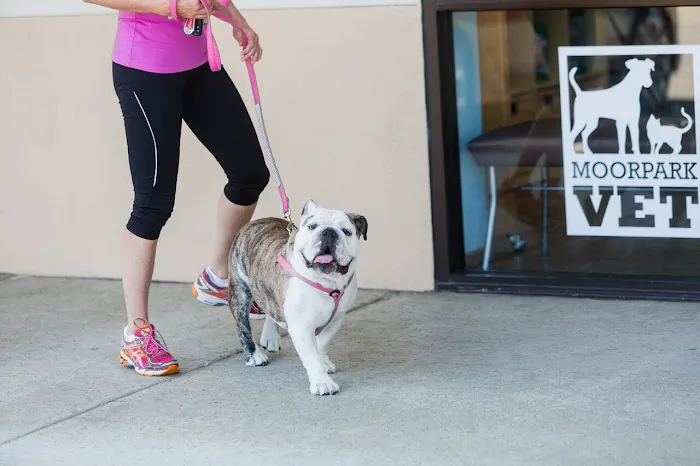 Moorpark Veterinary Hospital Picture 10