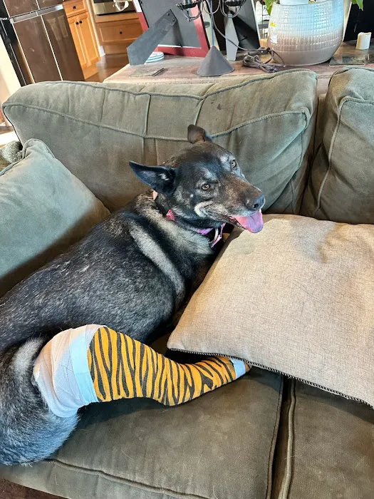 Arroyo Vista Veterinary Hospital Picture 6