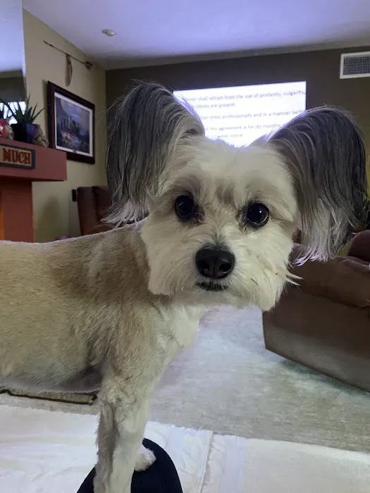 Arroyo Vista Veterinary Hospital Picture 5