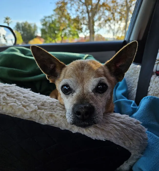 Arroyo Vista Veterinary Hospital Picture 9