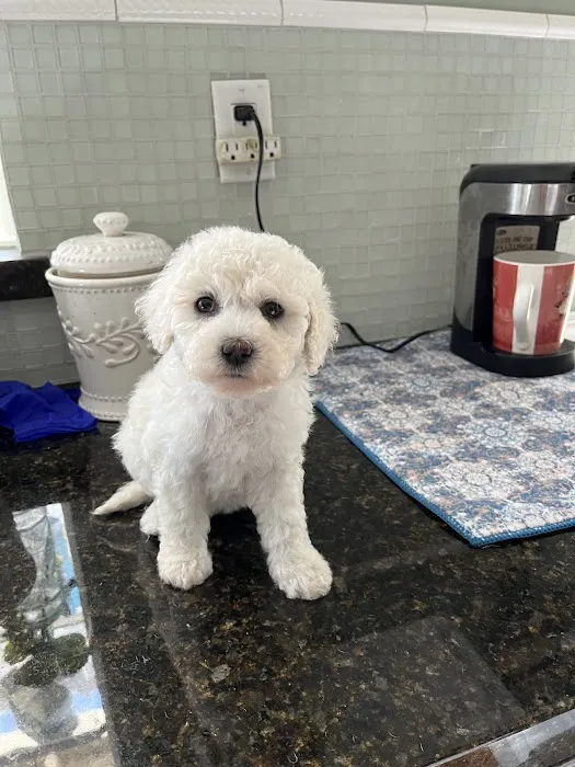 Arroyo Vista Veterinary Hospital Picture 8