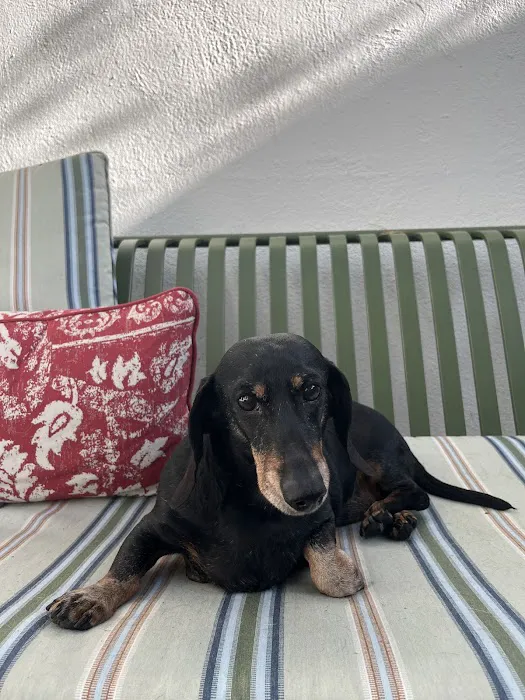 Family Mason Animal Clinic Picture 1