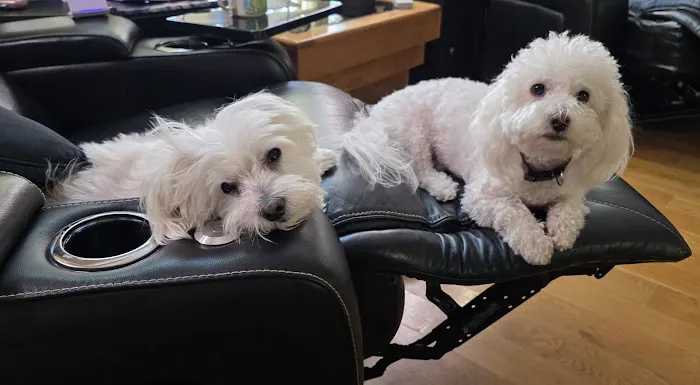 Wood Ranch Animal Hospital Picture 1