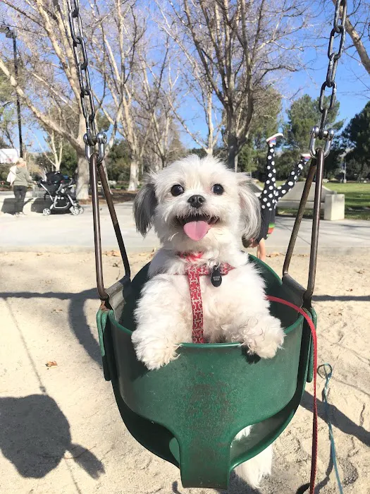 Wood Ranch Animal Hospital Picture 3