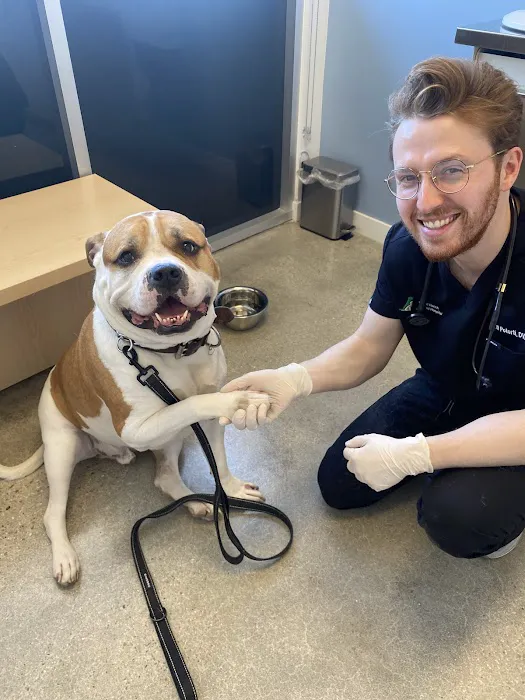 Wood Ranch Animal Hospital Picture 4