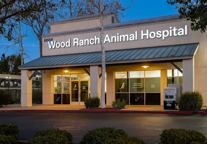 Wood Ranch Animal Hospital Picture 7