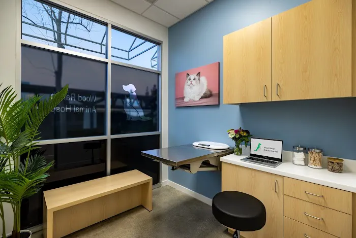 Wood Ranch Animal Hospital Picture 5