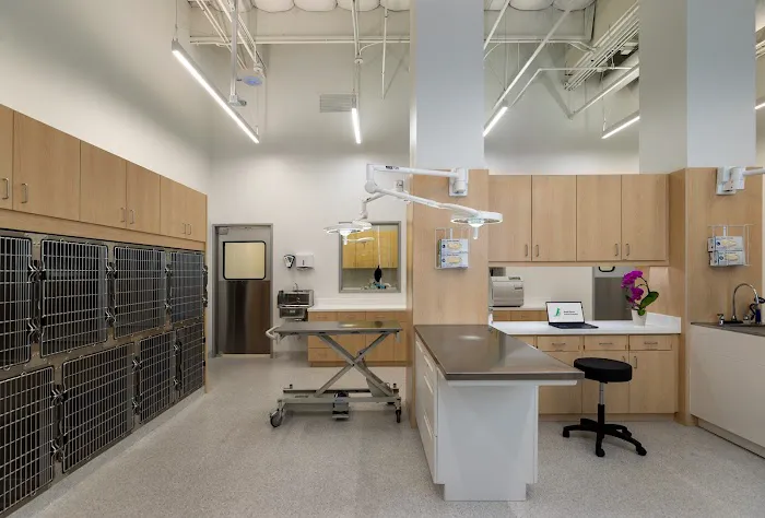 Wood Ranch Animal Hospital Picture 6