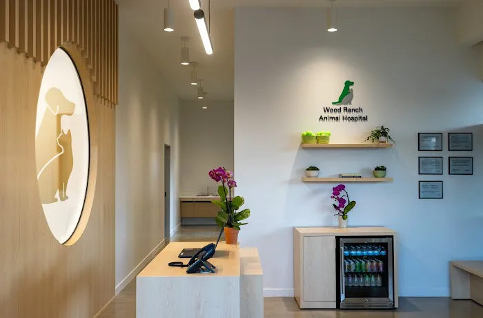 Wood Ranch Animal Hospital Picture 10