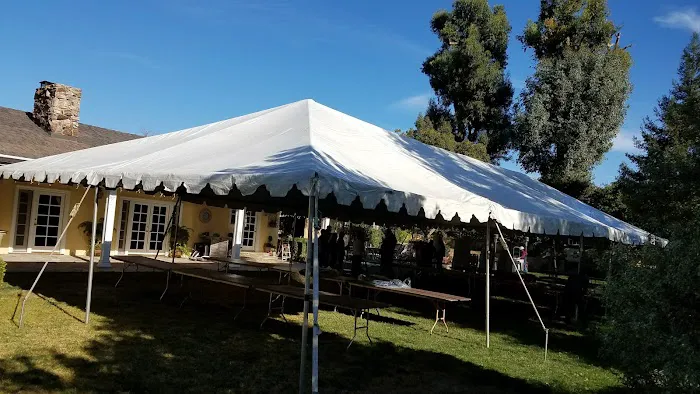 Bradley D Perdue Equine Picture 3