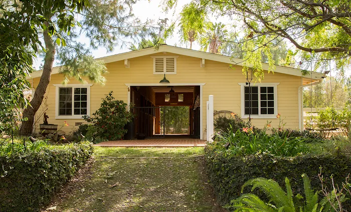 Bradley D Perdue Equine Picture 8