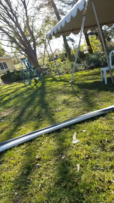 Bradley D Perdue Equine Picture 5