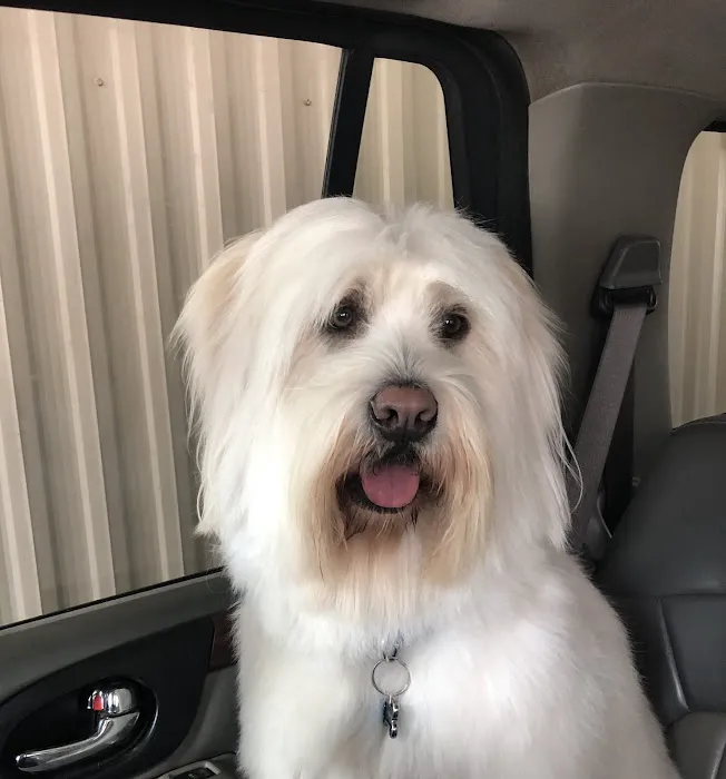 Mar Animal Hospital Picture 3