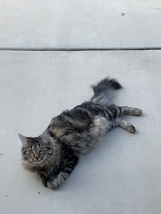 Mar Animal Hospital Picture 8