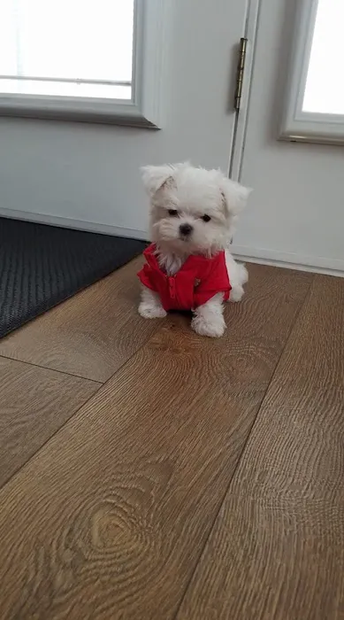 Mar Animal Hospital Picture 6