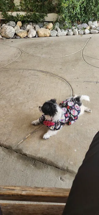 Mar Animal Hospital Picture 7