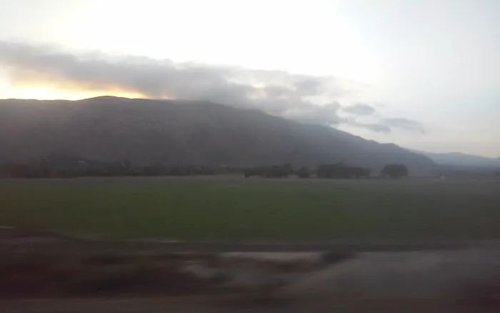 Dr. John J. Etchart, DVM (Horses only) Picture 2