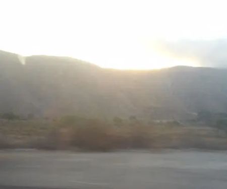 Dr. John J. Etchart, DVM (Horses only)