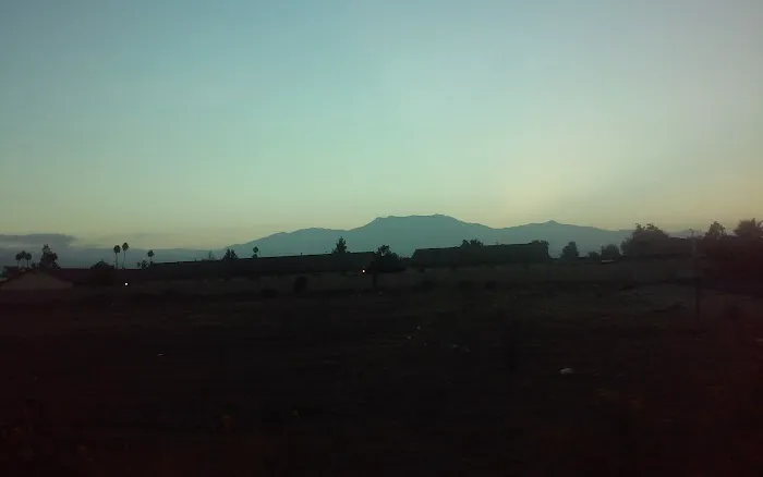 Dr. John J. Etchart, DVM (Horses only) Picture 4