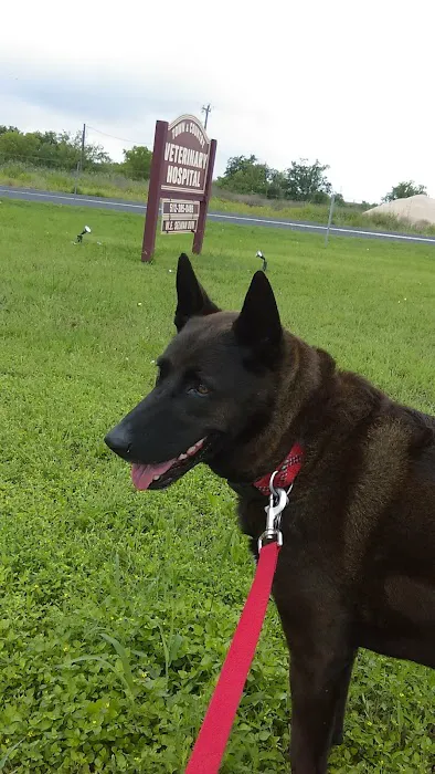 Town & Country Veterinary Hospital Picture 1