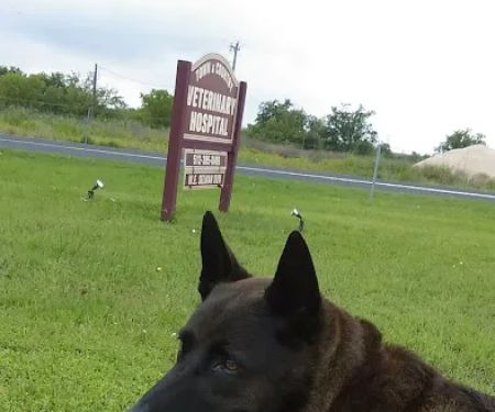 Town & Country Veterinary Hospital