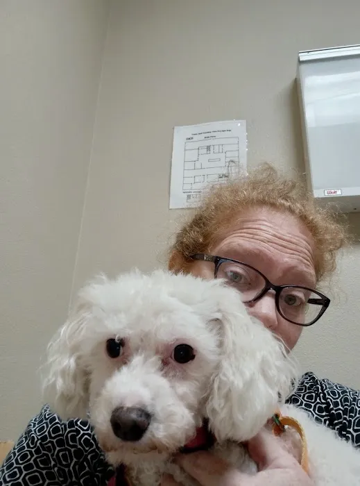 Town & Country Veterinary Hospital Picture 2