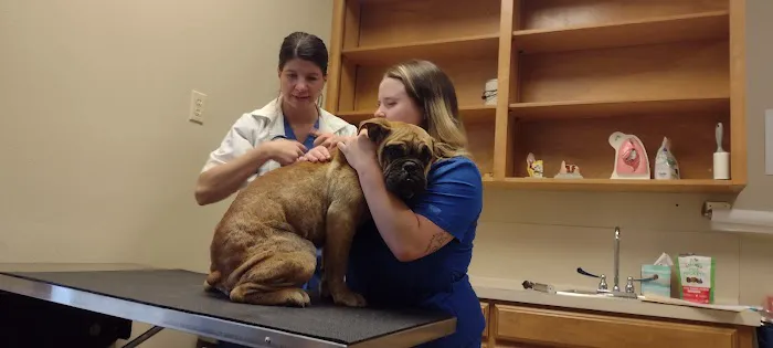 Town & Country Veterinary Hospital Picture 4