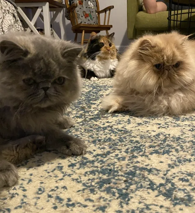 Thomas and England Veterinary Services Picture 2