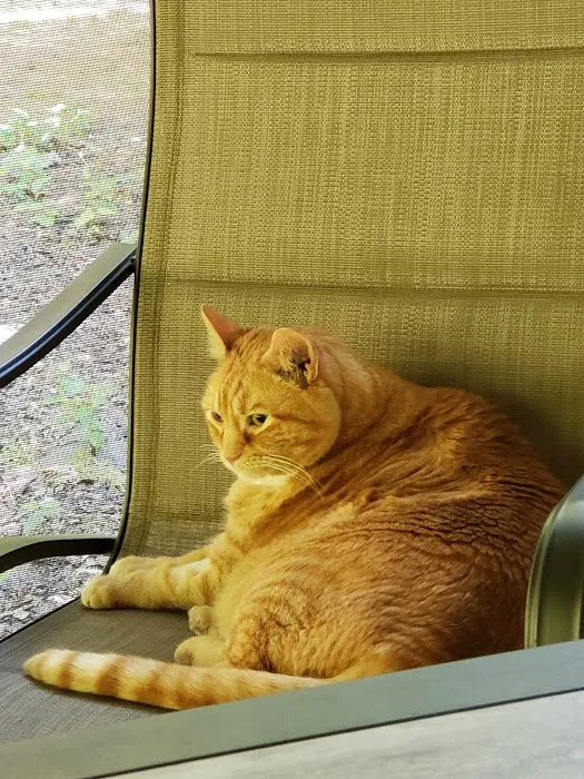 Thomas and England Veterinary Services Picture 4