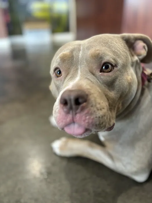 Thomas and England Veterinary Services Picture 1