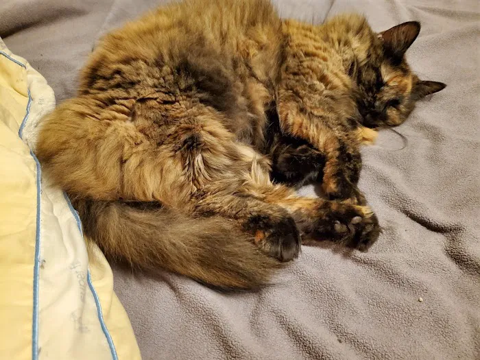 Thomas and England Veterinary Services Picture 3