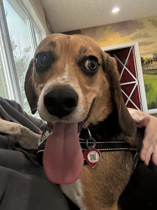 Thomas and England Veterinary Services Picture 5