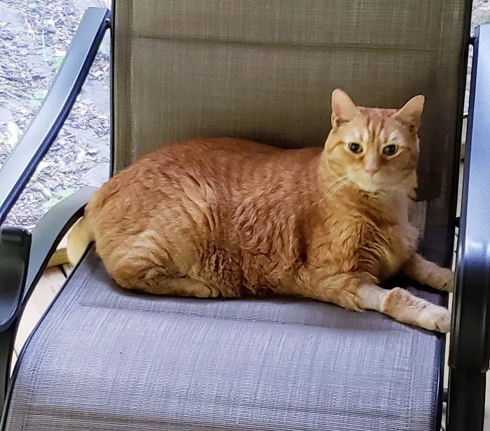 Thomas and England Veterinary Services Picture 6