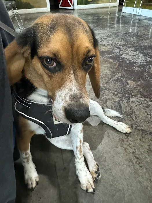 Thomas and England Veterinary Services Picture 8