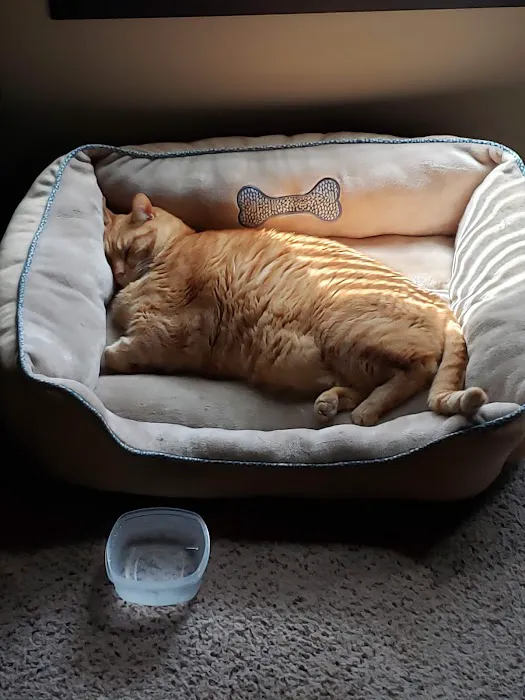 Thomas and England Veterinary Services Picture 7