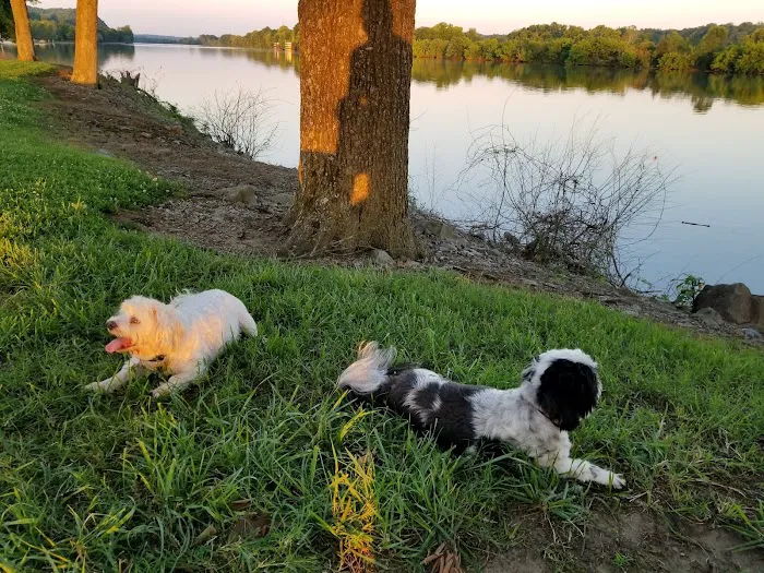 Pet Calls Wellness Clinic Picture 2