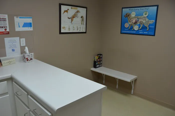 Family Pet Hospital Picture 4