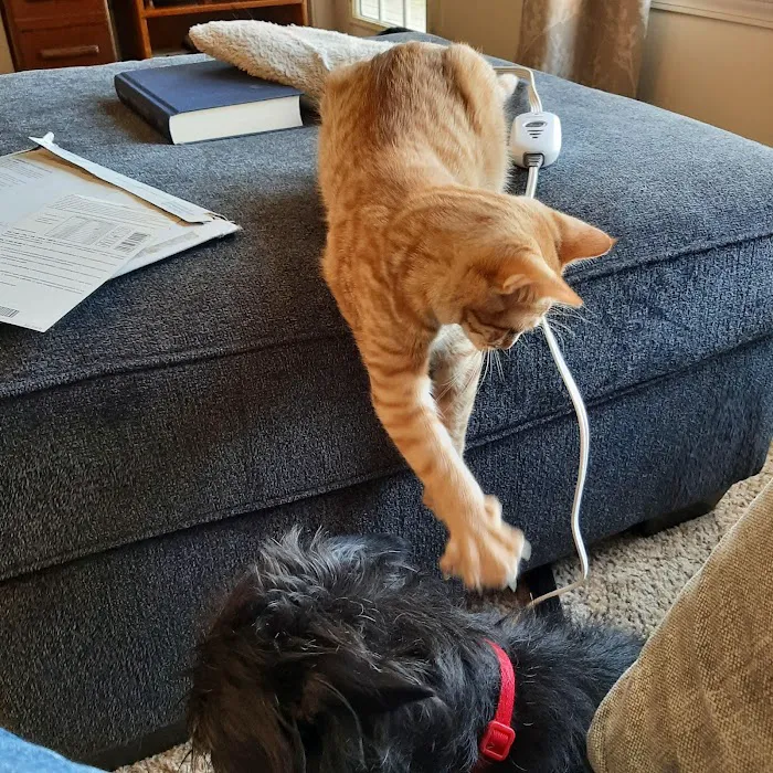 Family Pet Hospital Picture 2